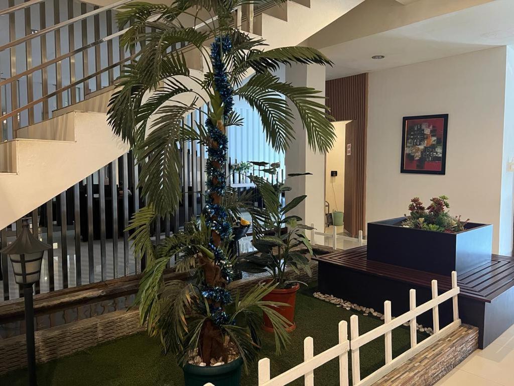 Ayla City Hotel Sorong Εξωτερικό φωτογραφία